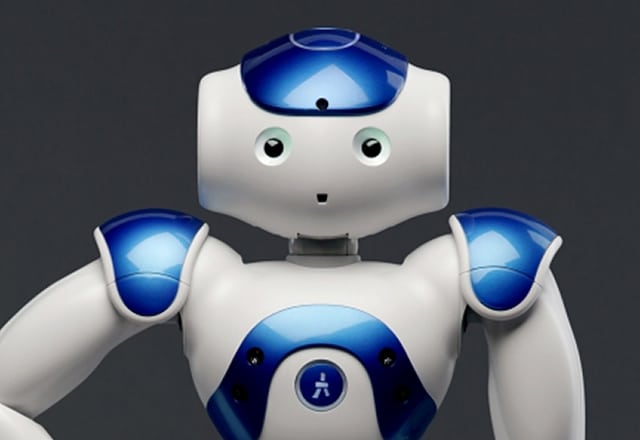 Ausleih Nao Roboter