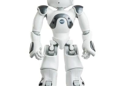 Humanoiden Roboter Nao